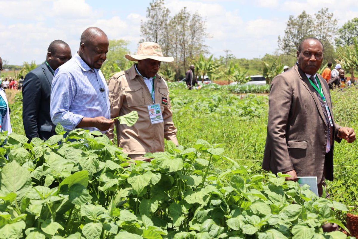 SEJOH NATION tweet media