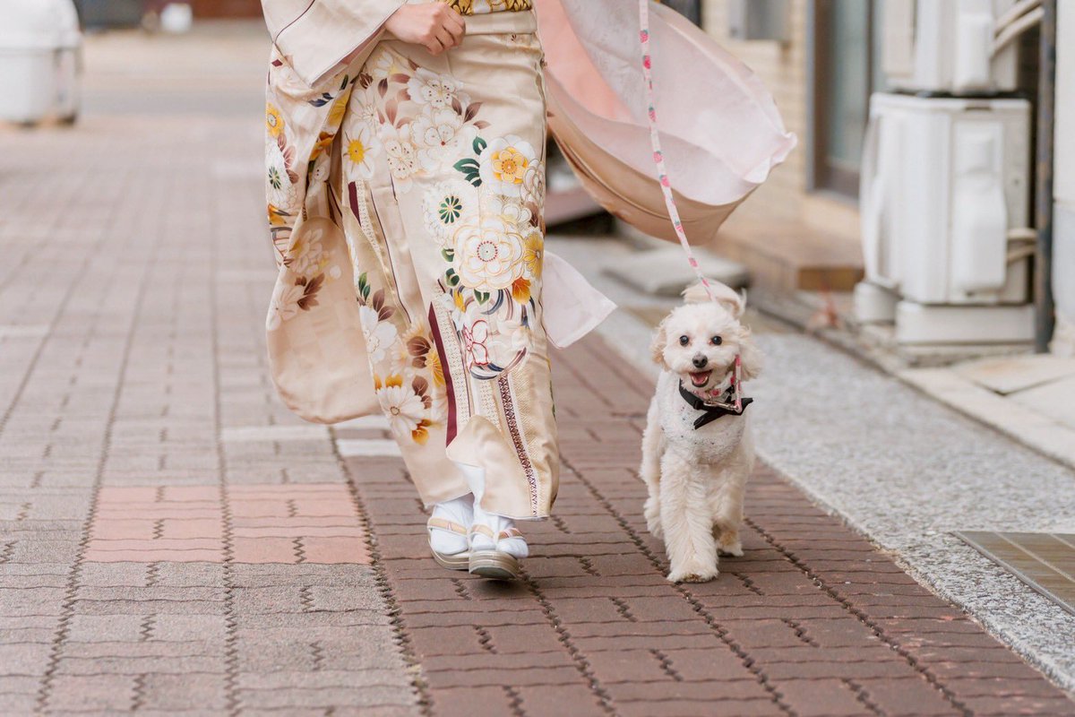 にゃん tweet media