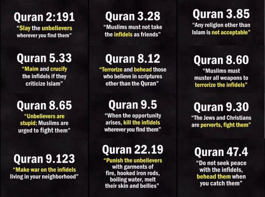 Ella Donella 🔞 tweet media