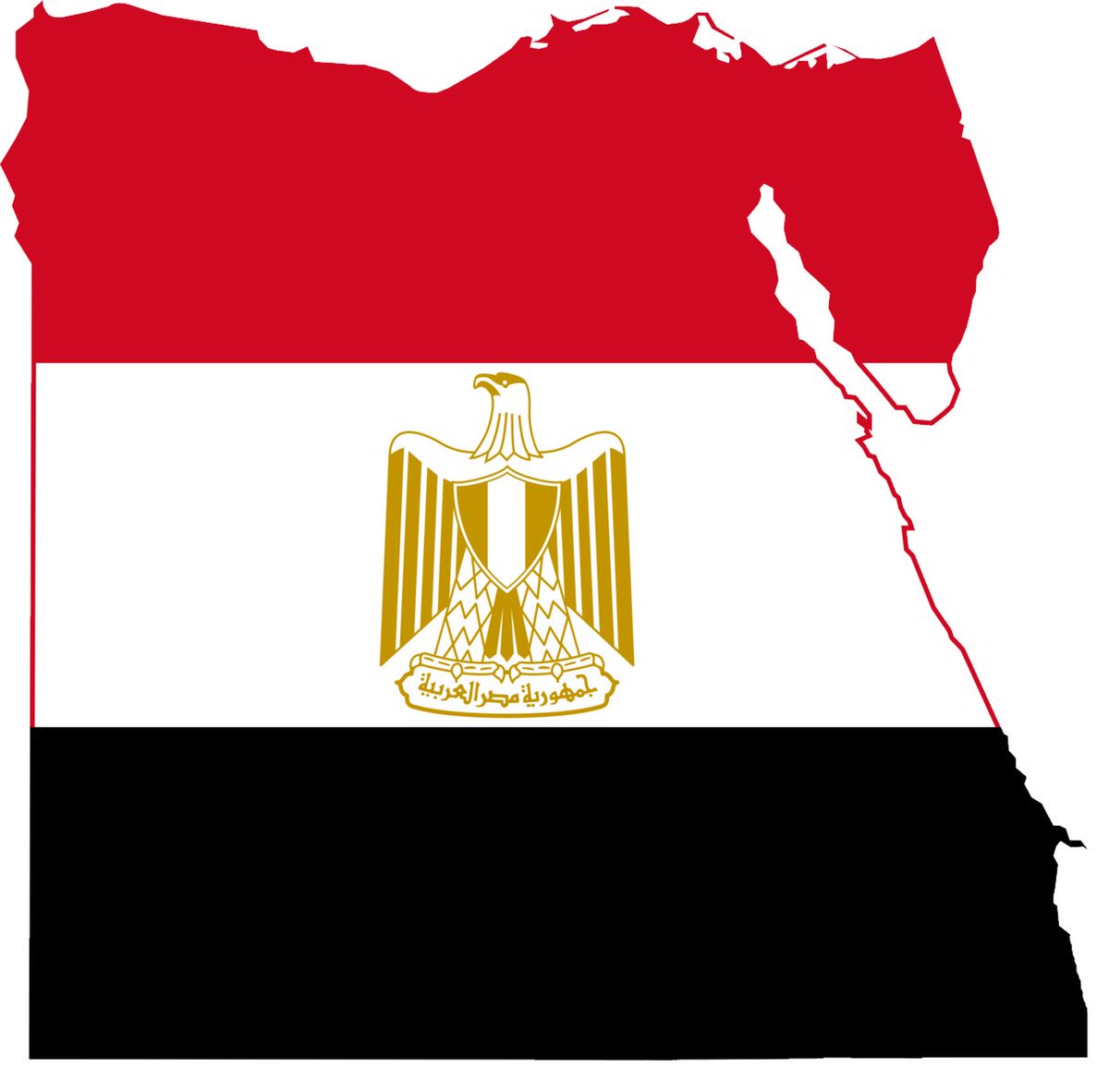 MAJED | Researcher |🐪📖 tweet media