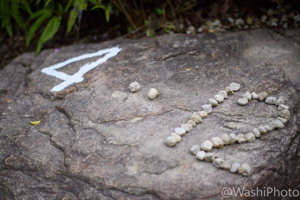 まっす tweet media