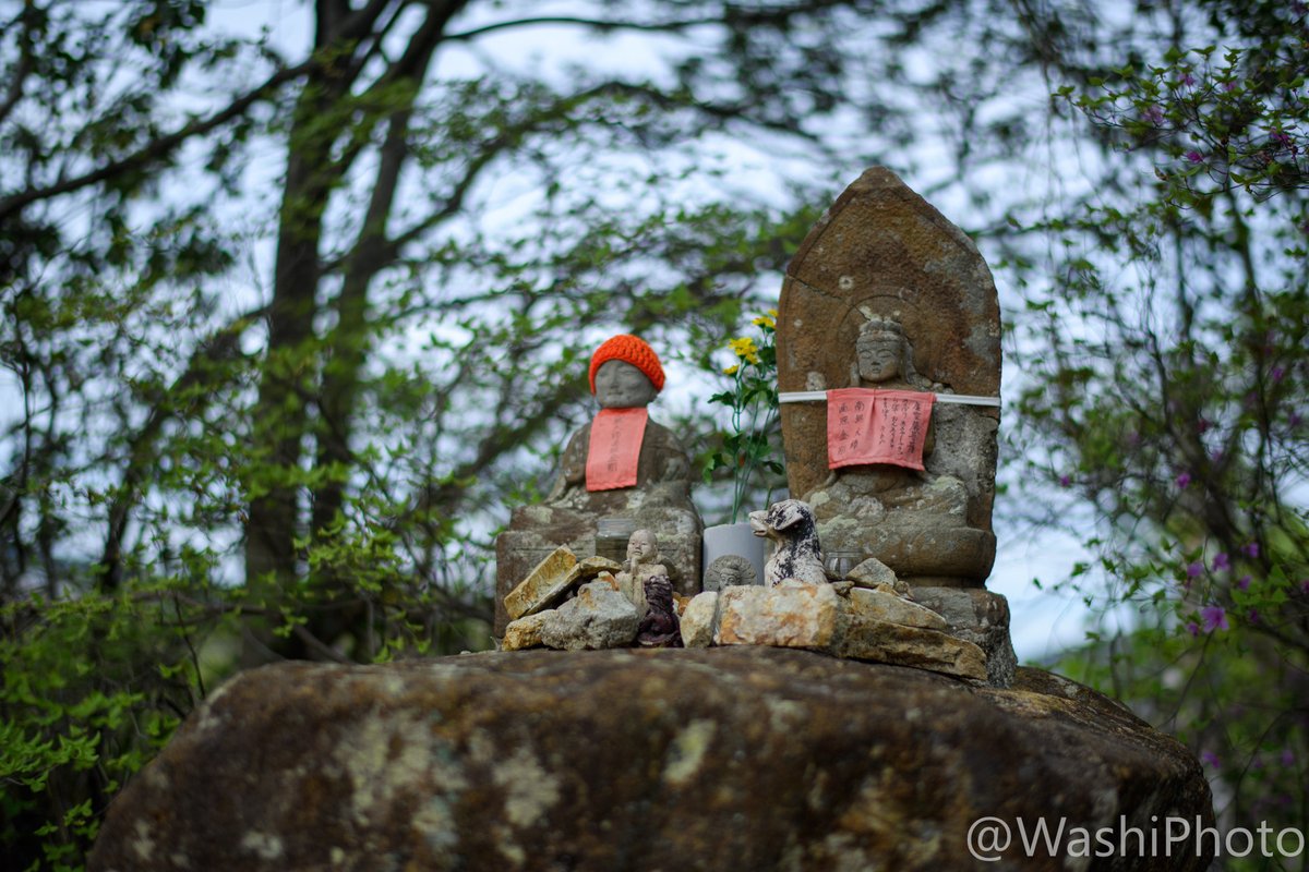 まっす tweet media