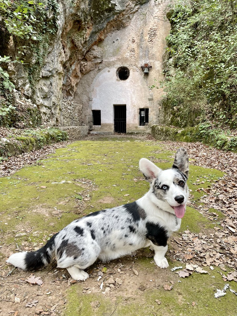 Neyasyt’ tweet media