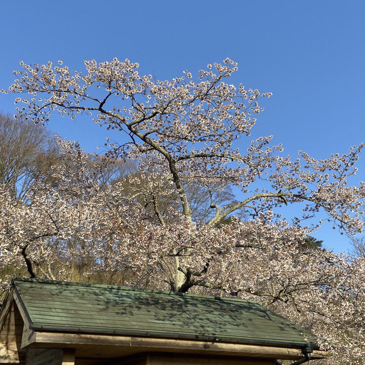Tanji (タンジ) ／ 宮城県のどこでしょうか？クイズ写真もやってます tweet media