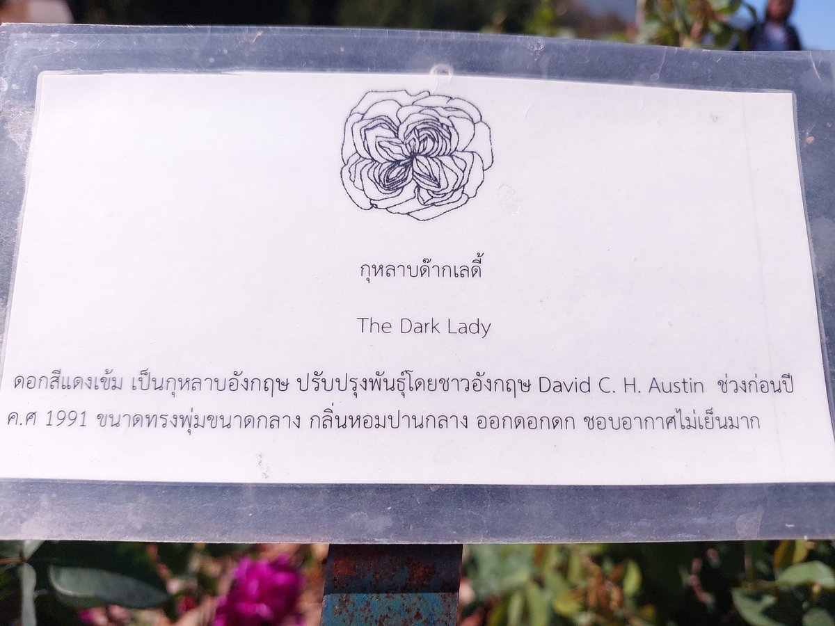 เฮชทูโอเอง| CQ9_SUN D58 tweet media