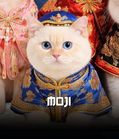 ιɱ︎🝮 tweet media