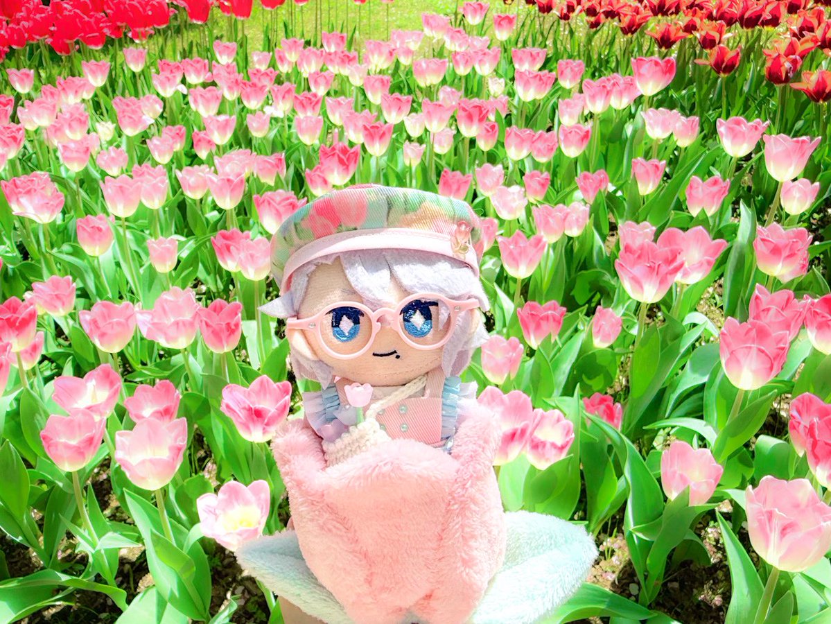 いの@ぬいアカ tweet media