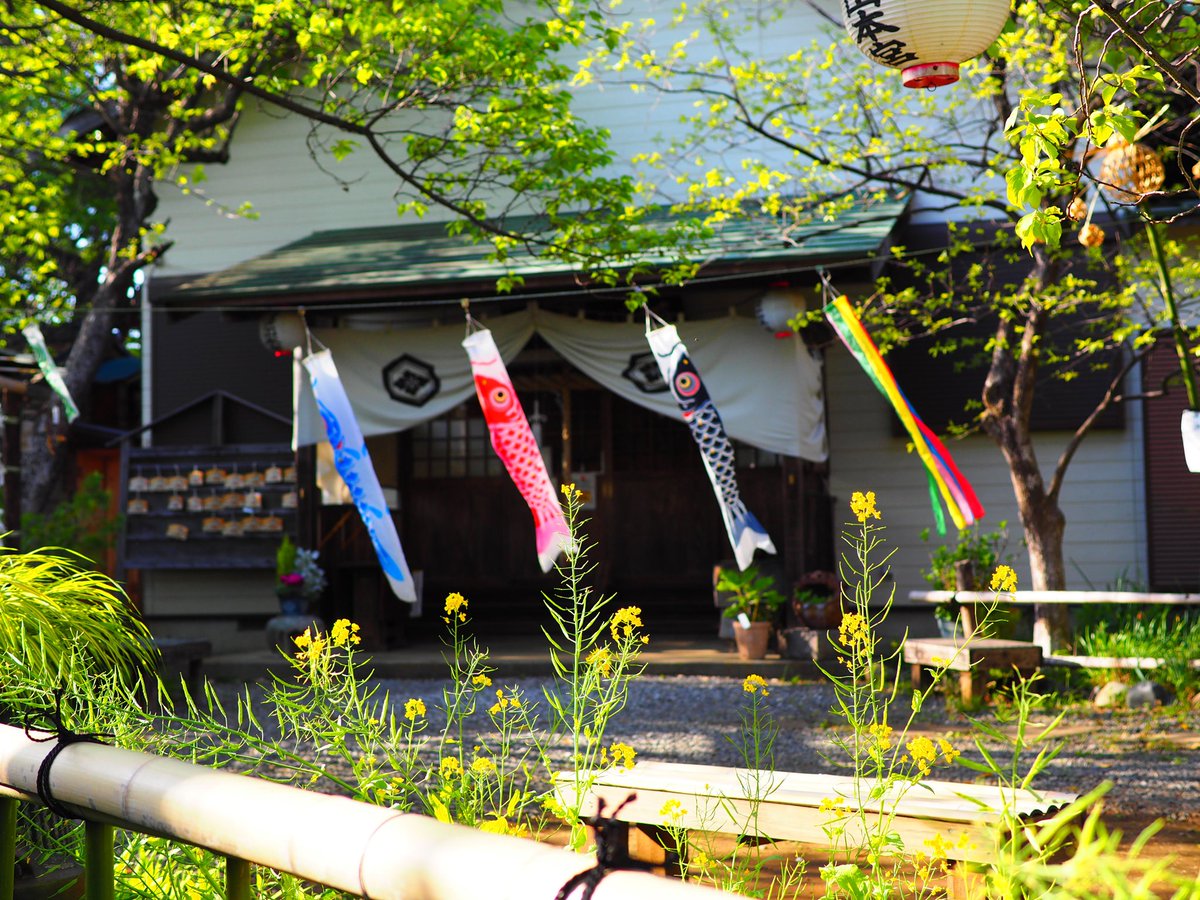 Y_Itoga's tweet photo. #omsystem
#キリトリセカイ 
#epl8 
OLYMPUS PEN  E-PL8 
LEICA DG SUMMILUX 25mm F1.4
もうすぐこどもの日
晴天に鯉のぼりが泳いでる https://t.co/9ijV8A03TJ