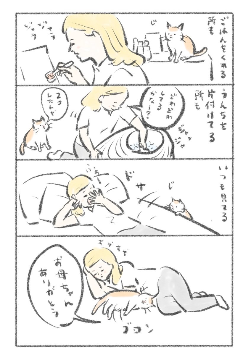 日常をまもる猫たち (1/3) 