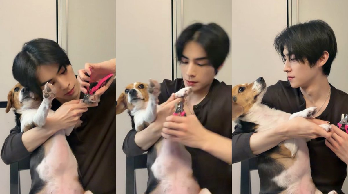 極樂滿月 tweet media