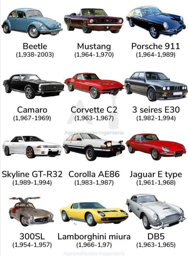 MARCELO FAVA tweet media