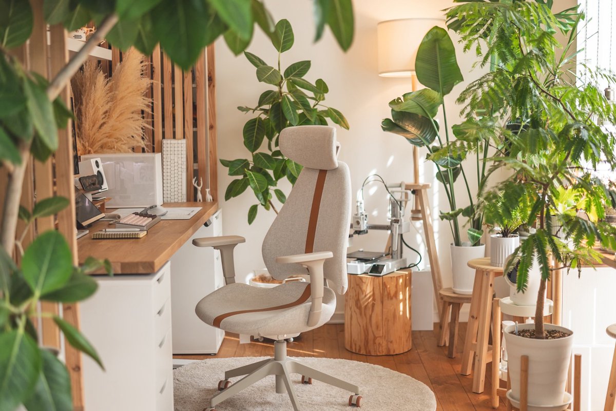 なおゆー tweet media