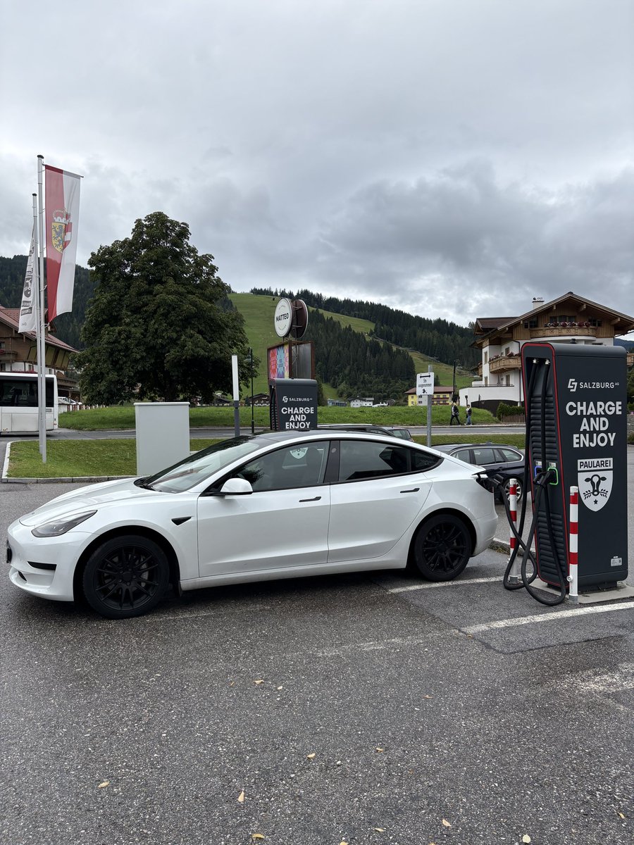 Zbrdä Zdöla tweet media