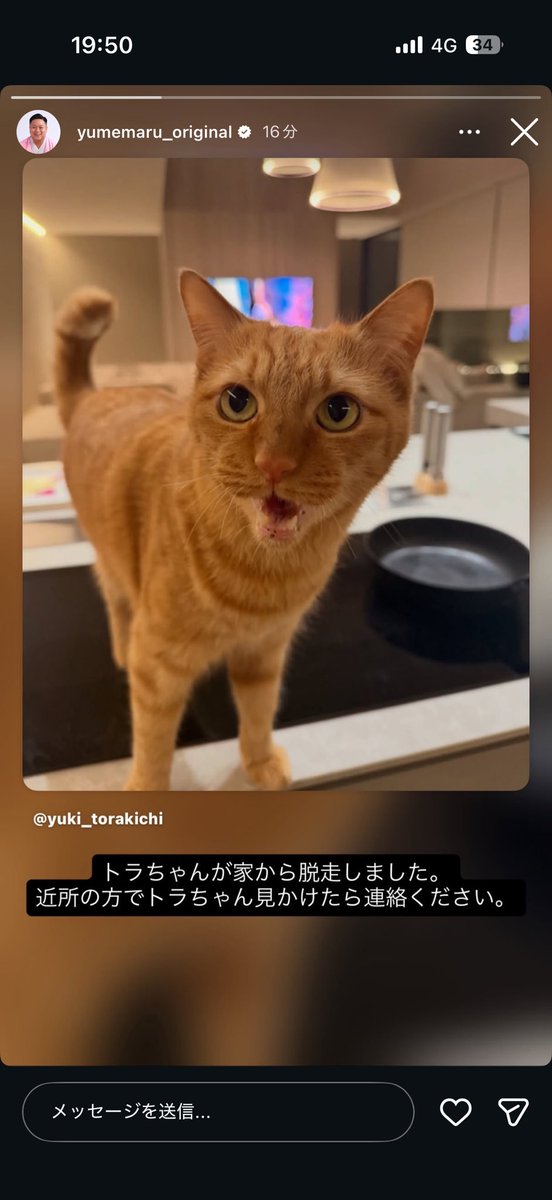 本気のはざわ tweet media