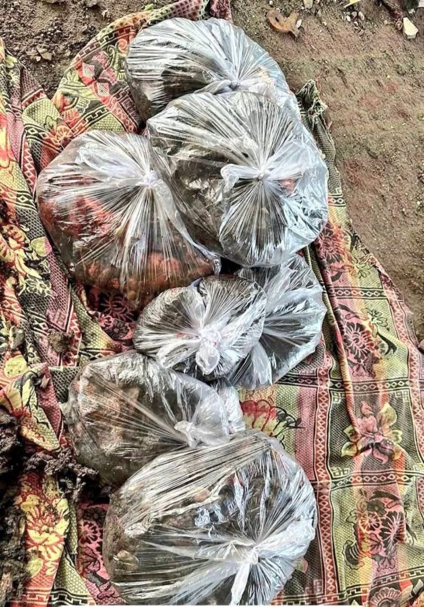 Omar Hamad | عُـمَـرْ 𓂆 tweet media