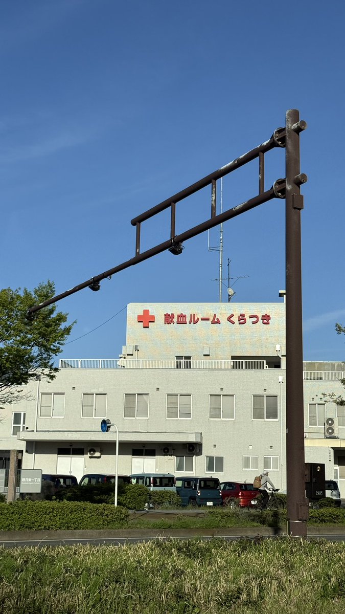 あむちゃん tweet media