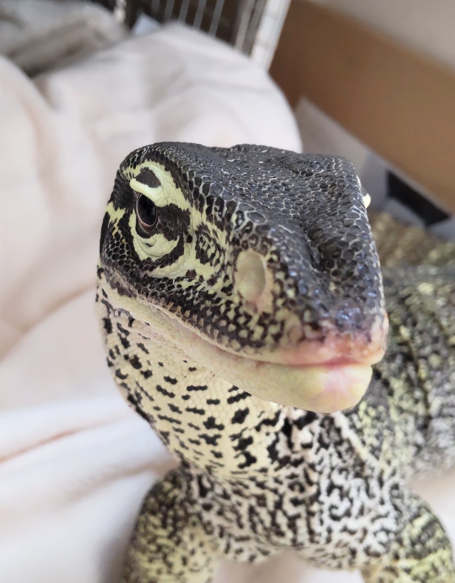 倉子倉次🩵🌿🐣🌿🩵 tweet media