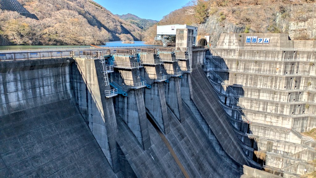 すてっぱー工場長🌻 tweet media