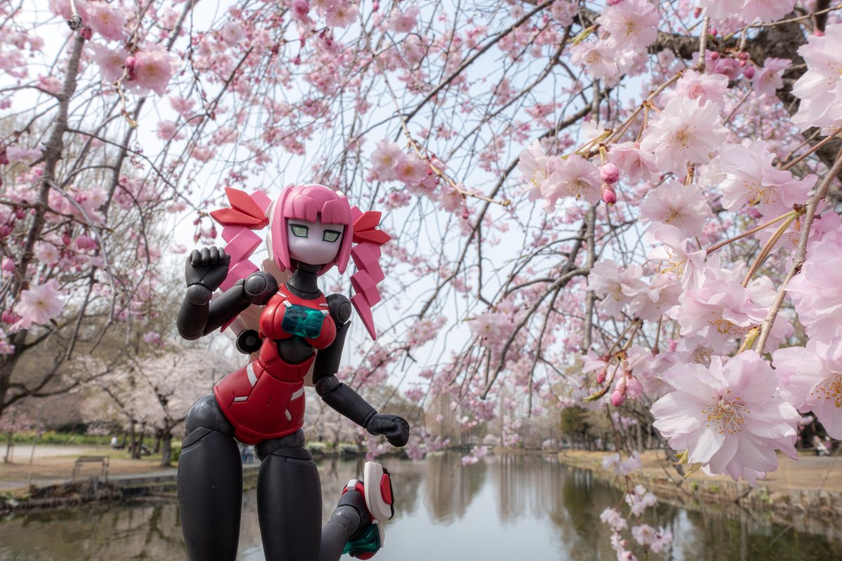 男の娘大歓迎 マルコ エクリナ ボディスーツC85 3L【超メガボディー