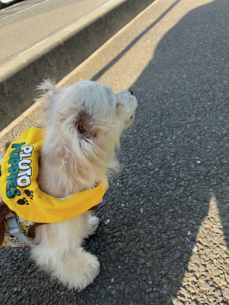 SHINON🤗 tweet media