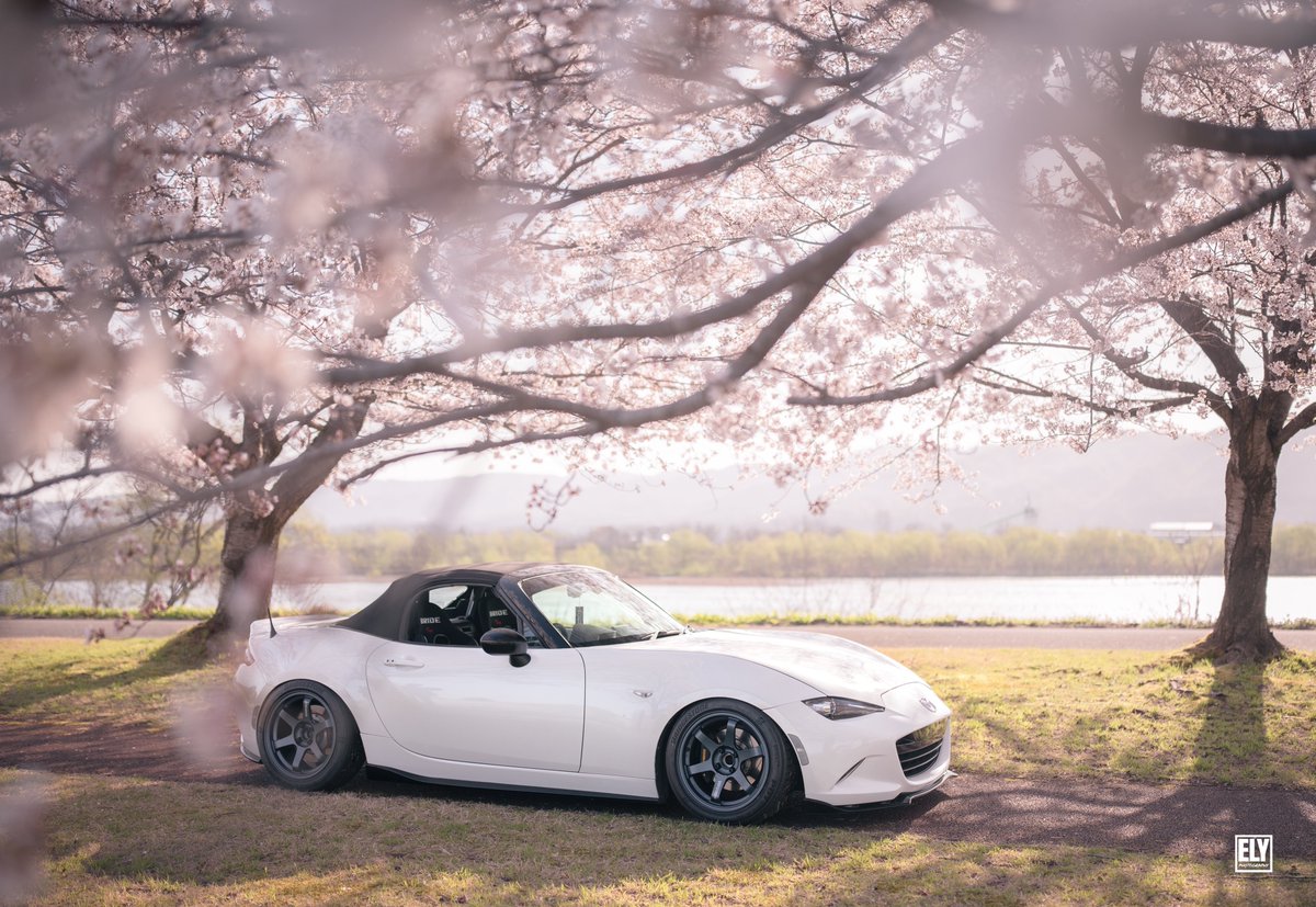 V8エリさん tweet media