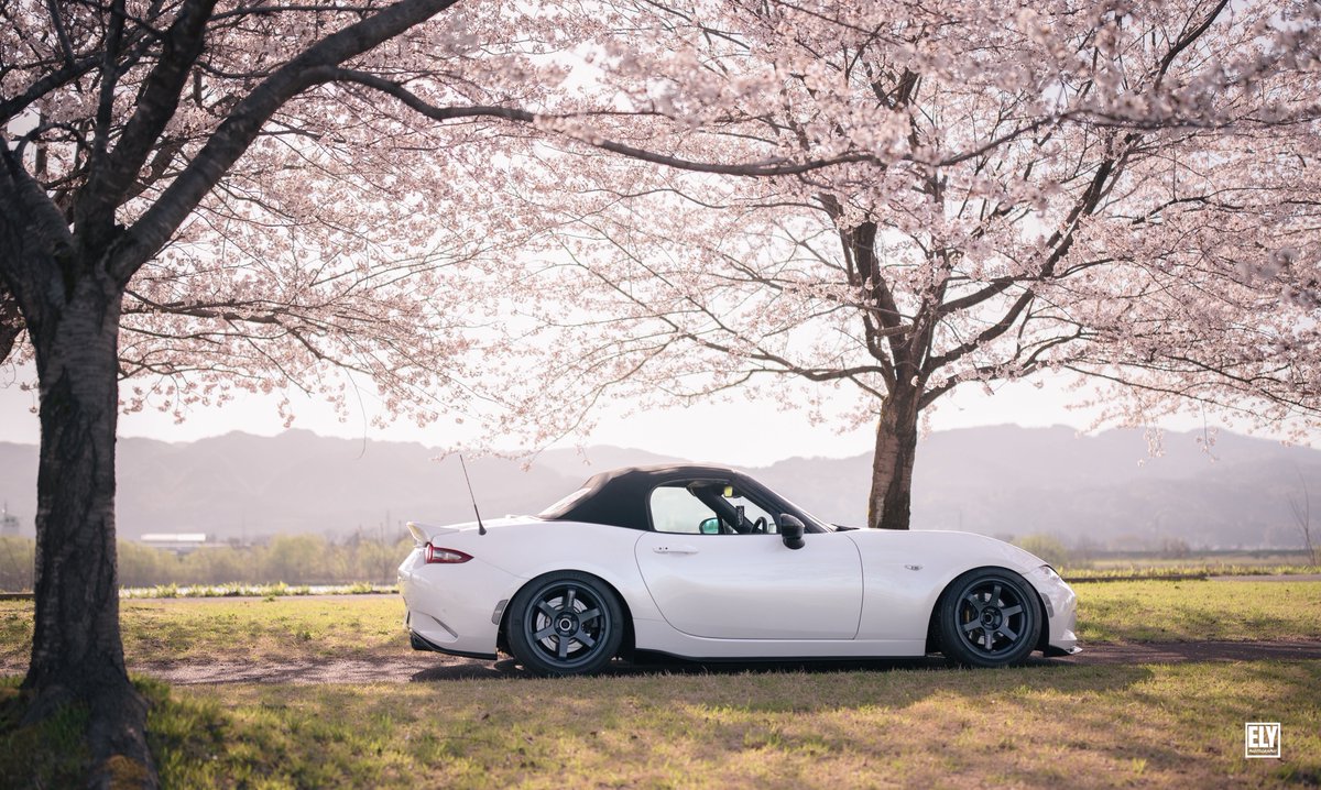 V8エリさん tweet media