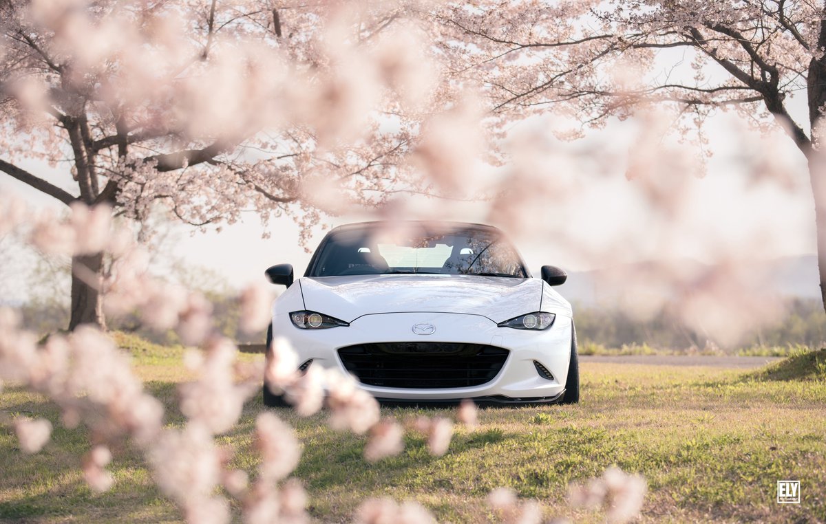 V8エリさん tweet media