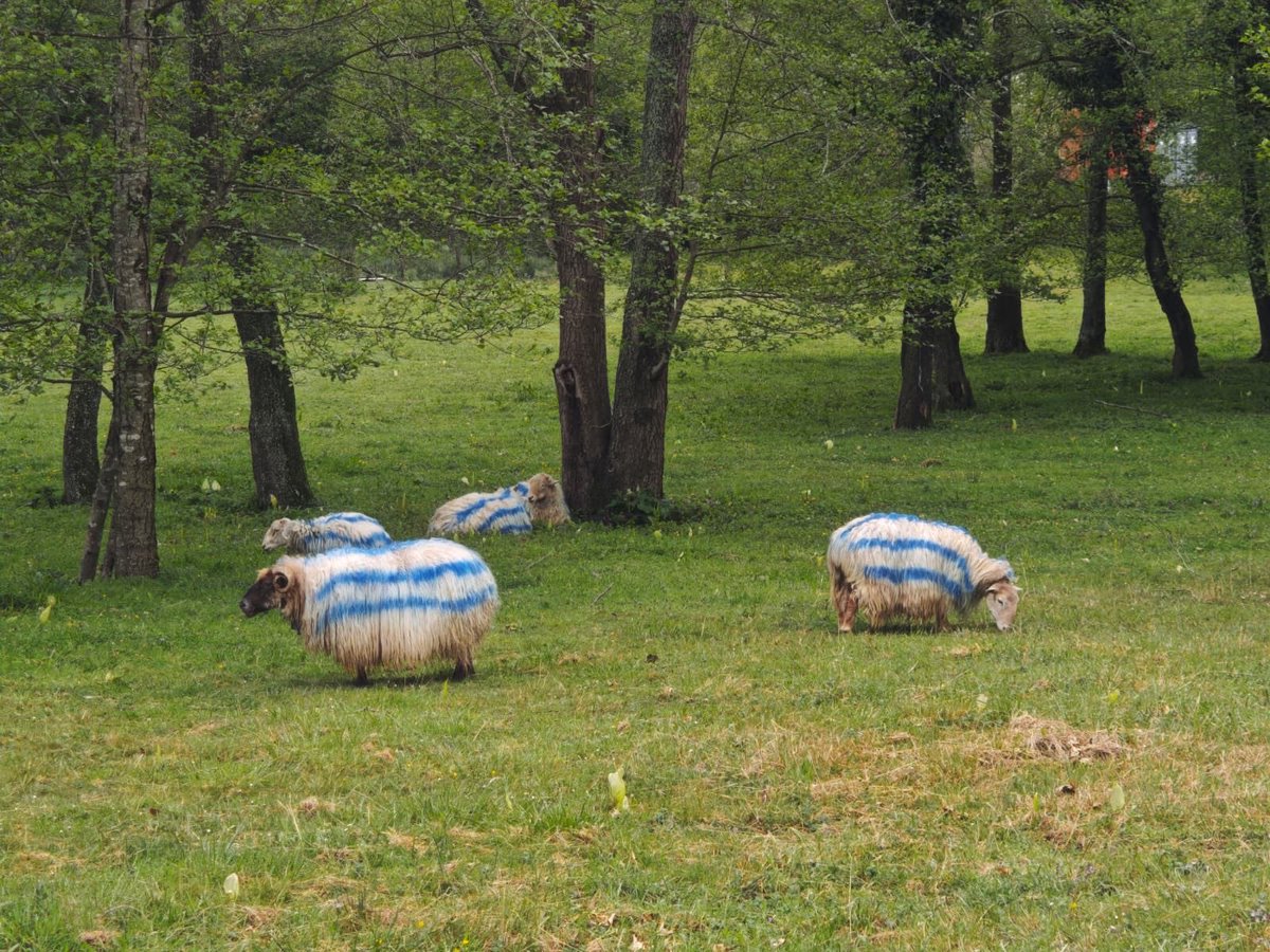 Sean Ituarte tweet media