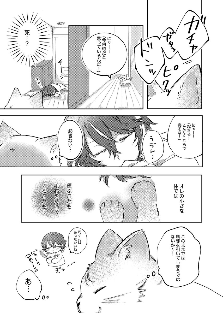 散歩ぽ tweet media