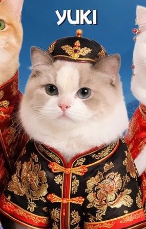 ιɱ︎🝮 เจี้ยกซ่า tweet media