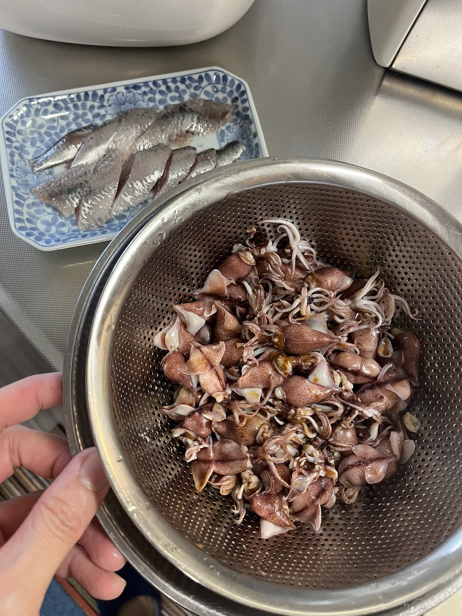 Dボウィ@RAV4乗り𓆟𓆝𓆟𓆜𓆞𓆟𓆝𓆟𓆜𓆞 tweet media