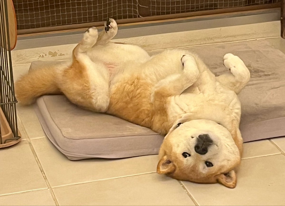 じゅん tweet media