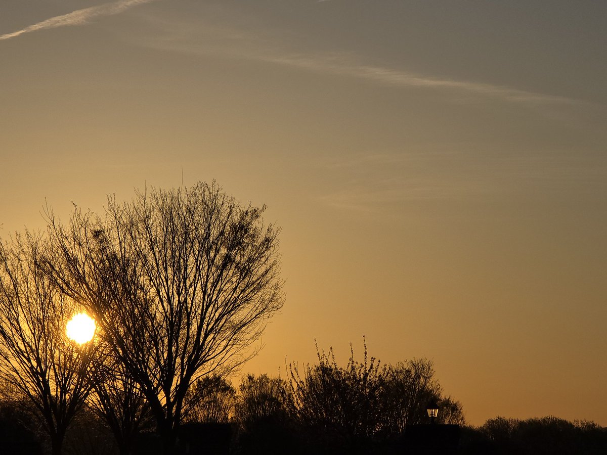 The Inner Circle Trader tweet media