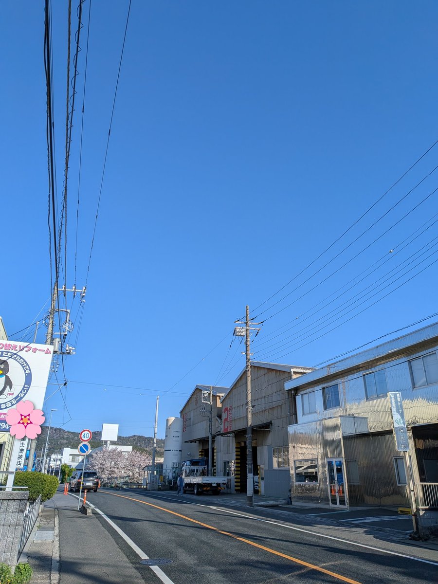 ひょこ YOSHI WEST tweet media