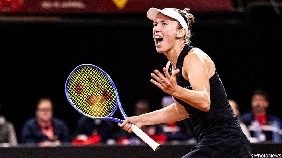 Elise Mertens tweet media