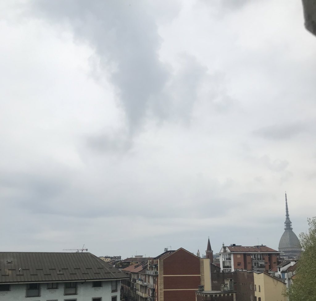 Viola La Privaci 🍫 tweet media