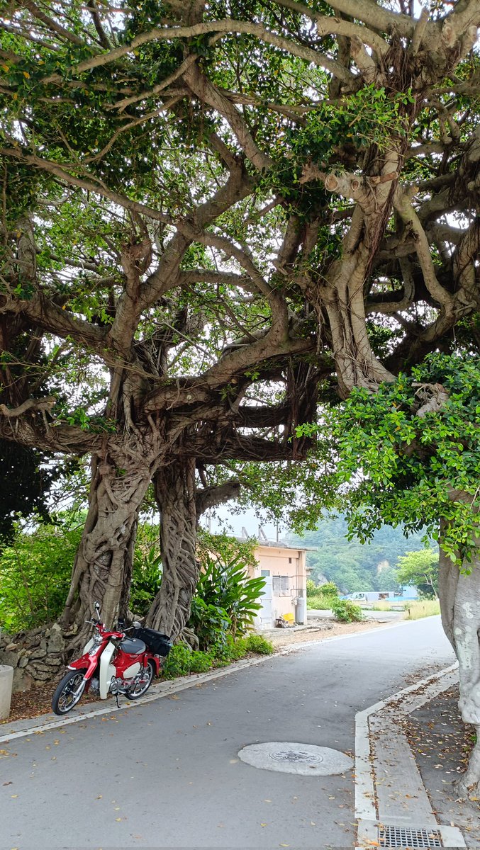 マーク2 tweet media