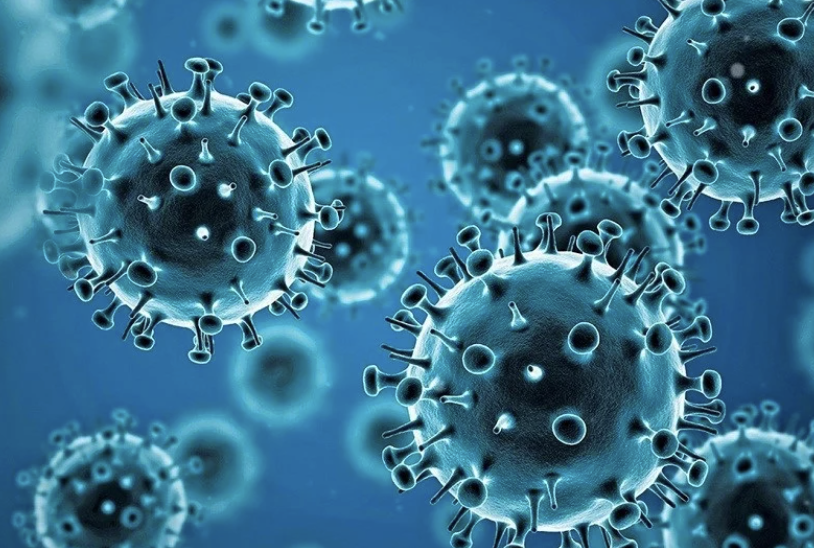 crypto.news tweet media