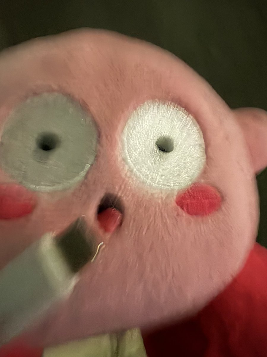 びっくりちゃん🍣 tweet media