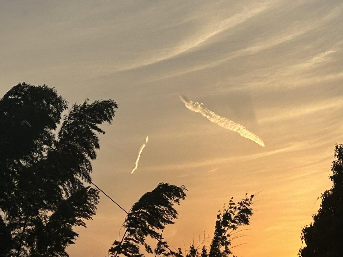 うららか tweet media