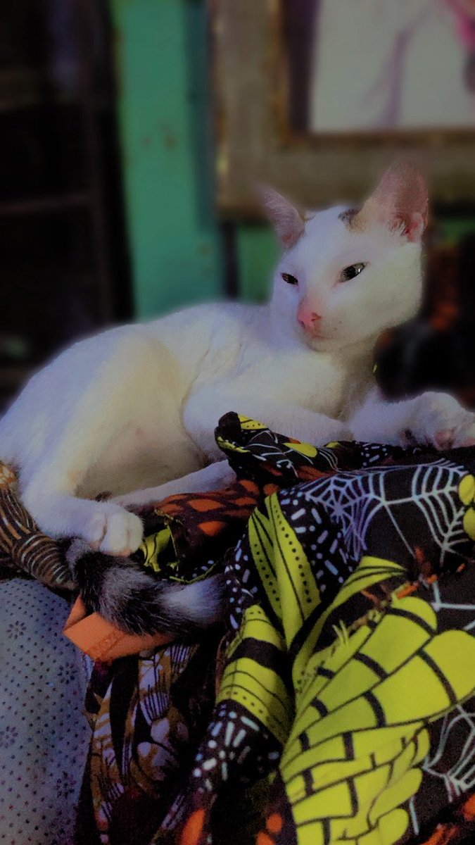 henny holla ♋️ tweet media