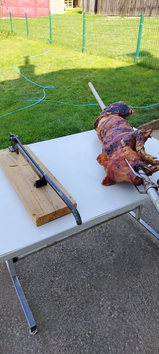 БЕЛИ КЕР tweet media