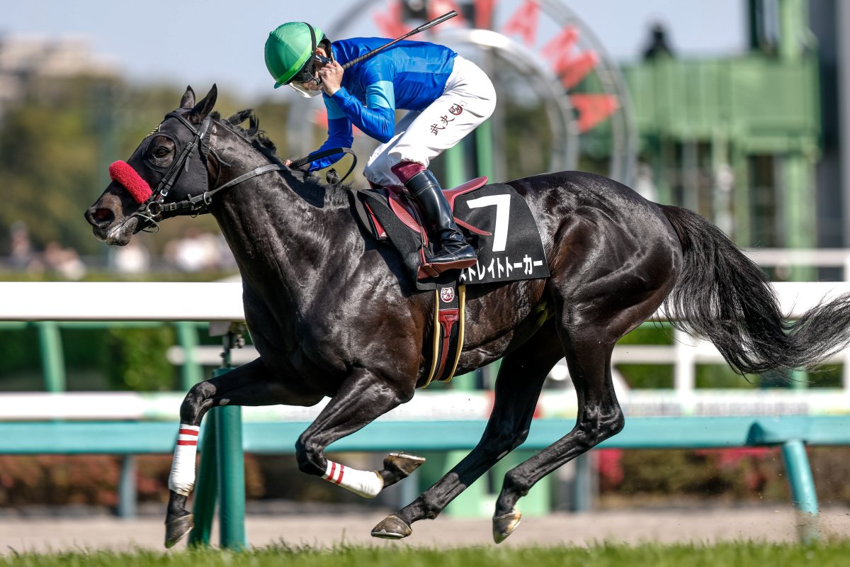 netkeiba tweet media