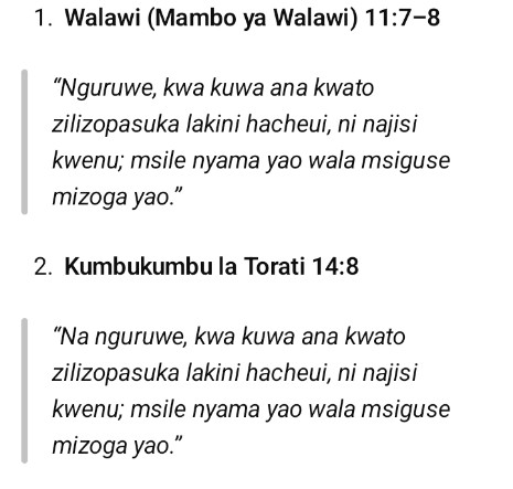 Mpekuzi 2024 tweet media