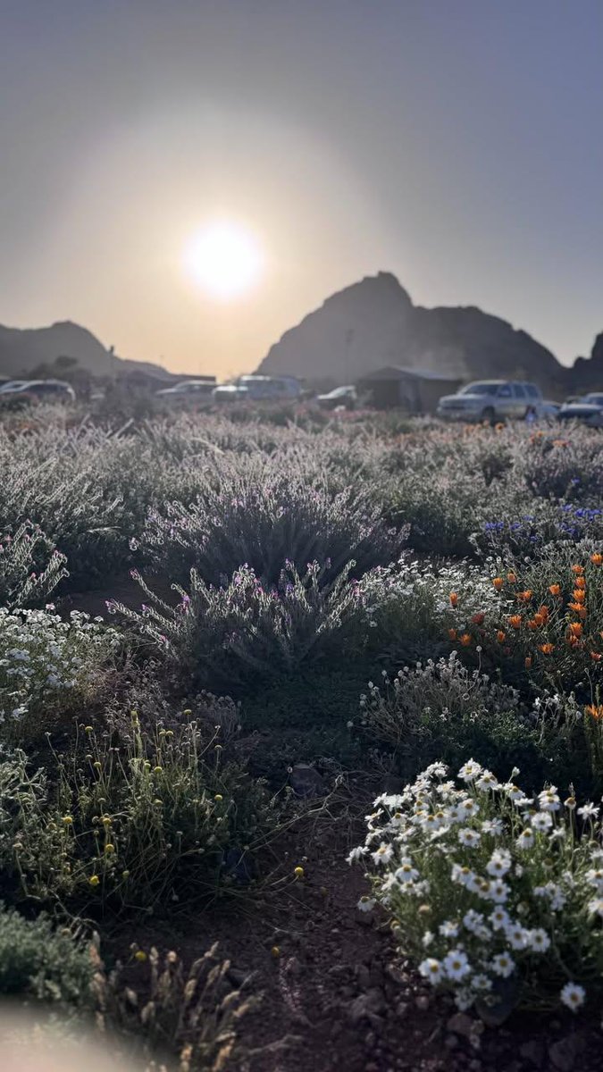 فرات✏️ tweet media