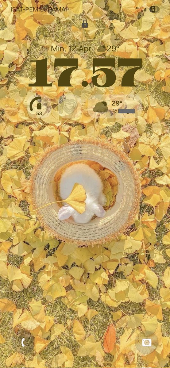 𝐳𝐚𝐲𝐚 tweet media