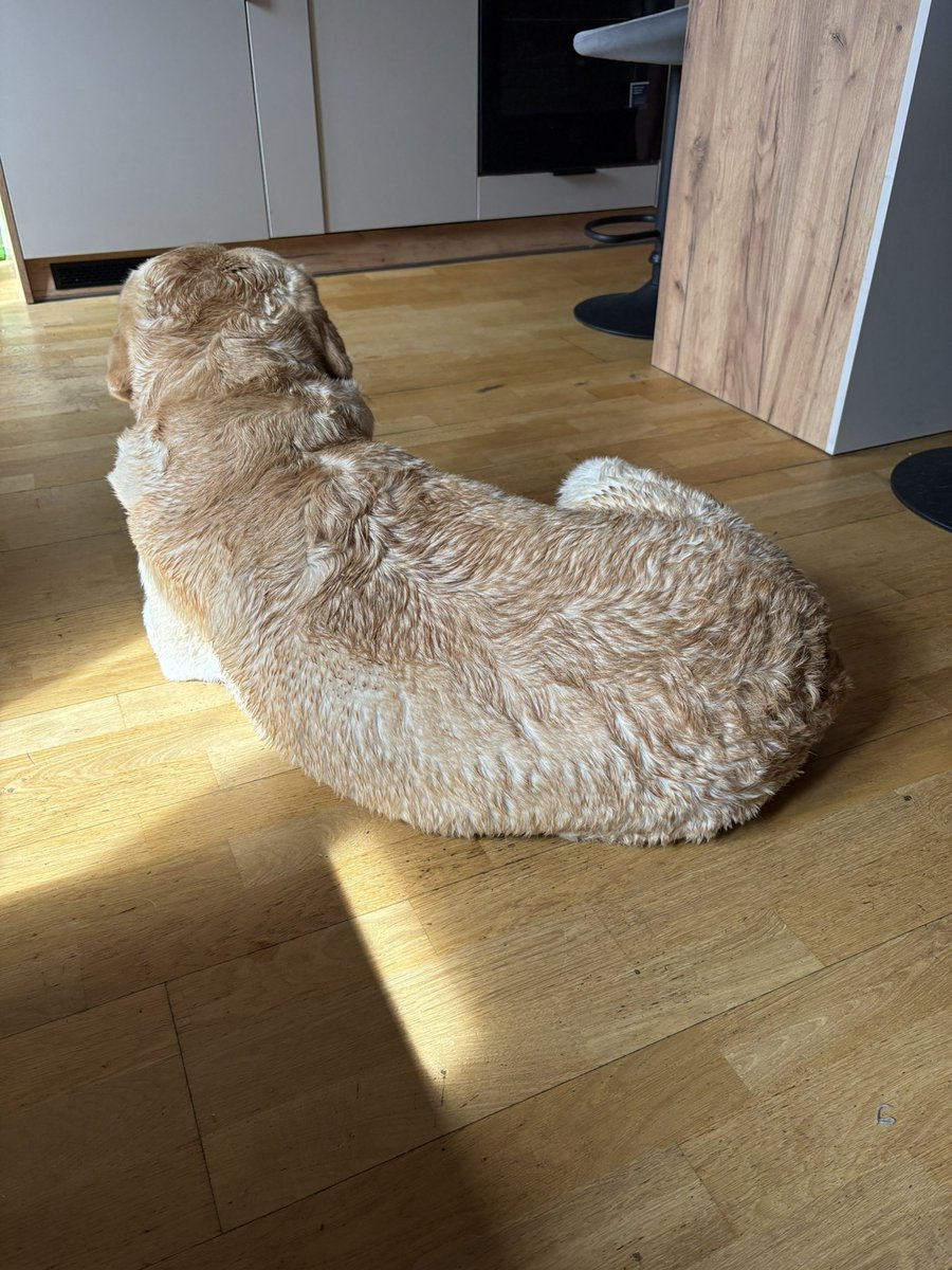 Odisław&Borzym tweet media