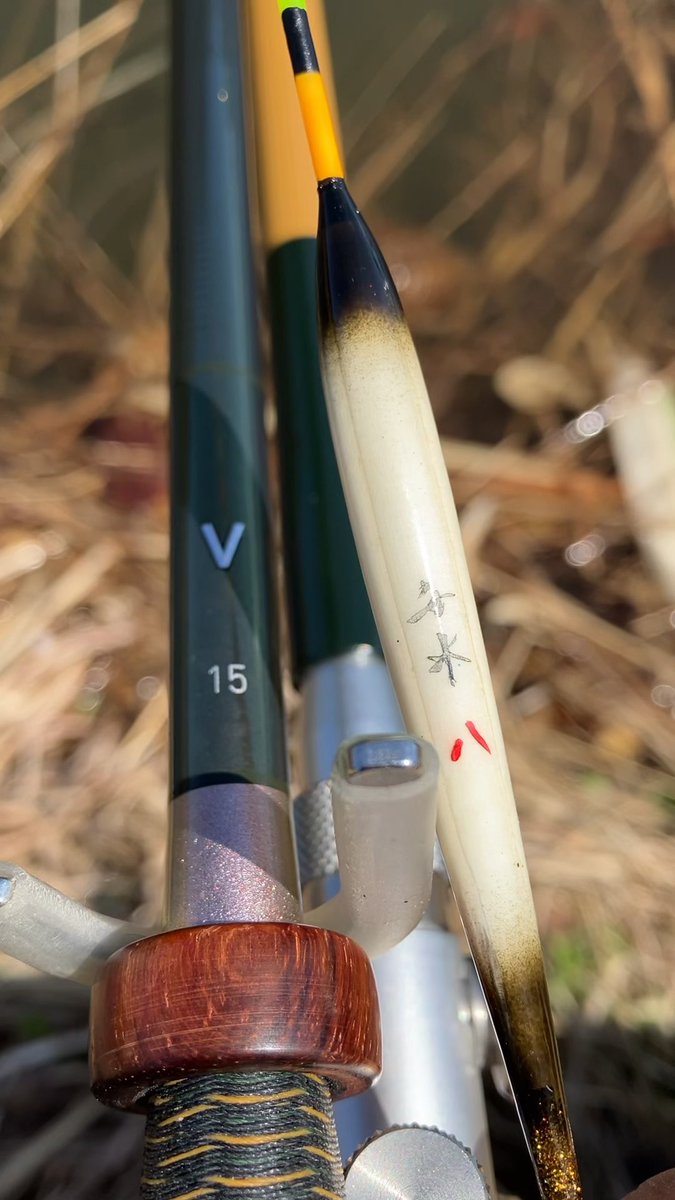 saurus_next tweet media