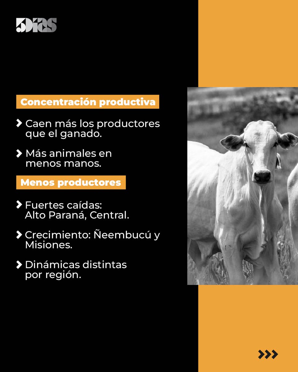 5Días tweet media