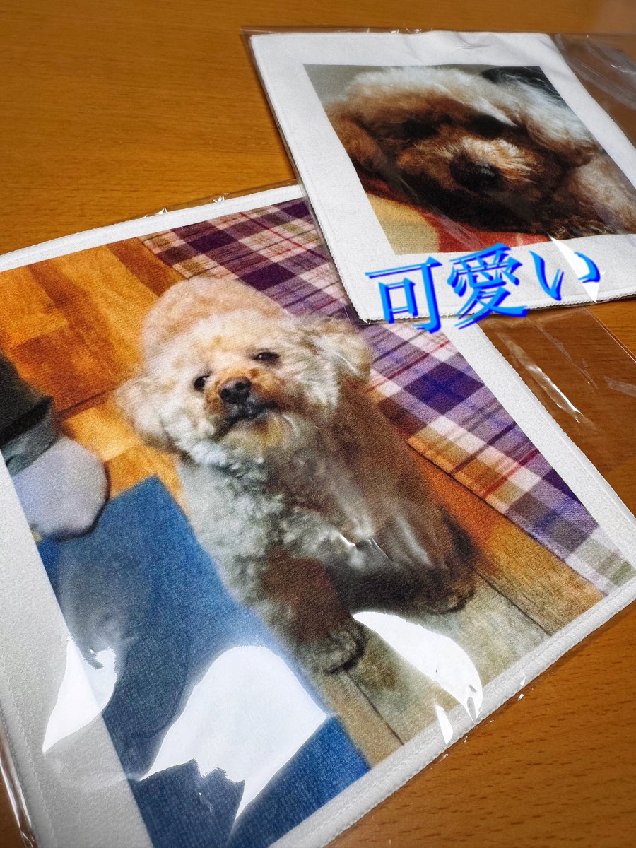 Eriko⭐︎ tweet media